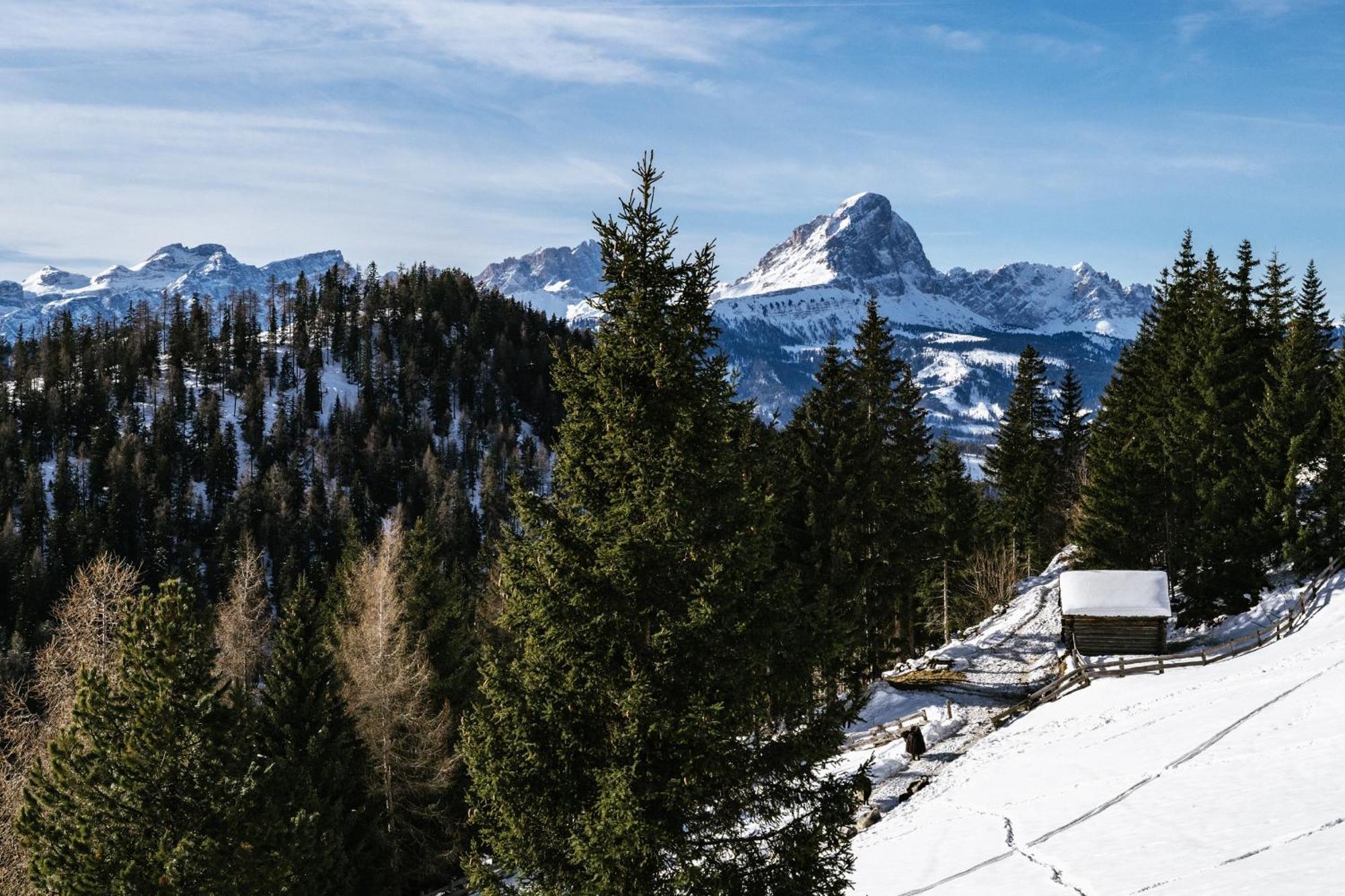 Alpine Hotel Gran Foda' San Vigilio Di Marebbe Exterior foto